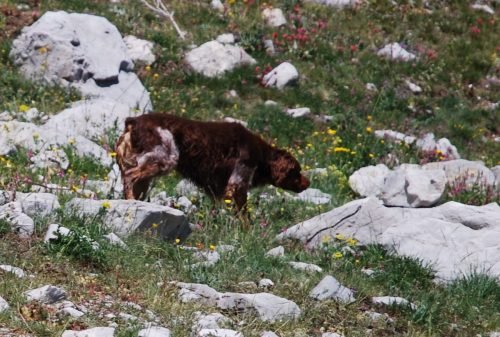 DSC_1391(2)